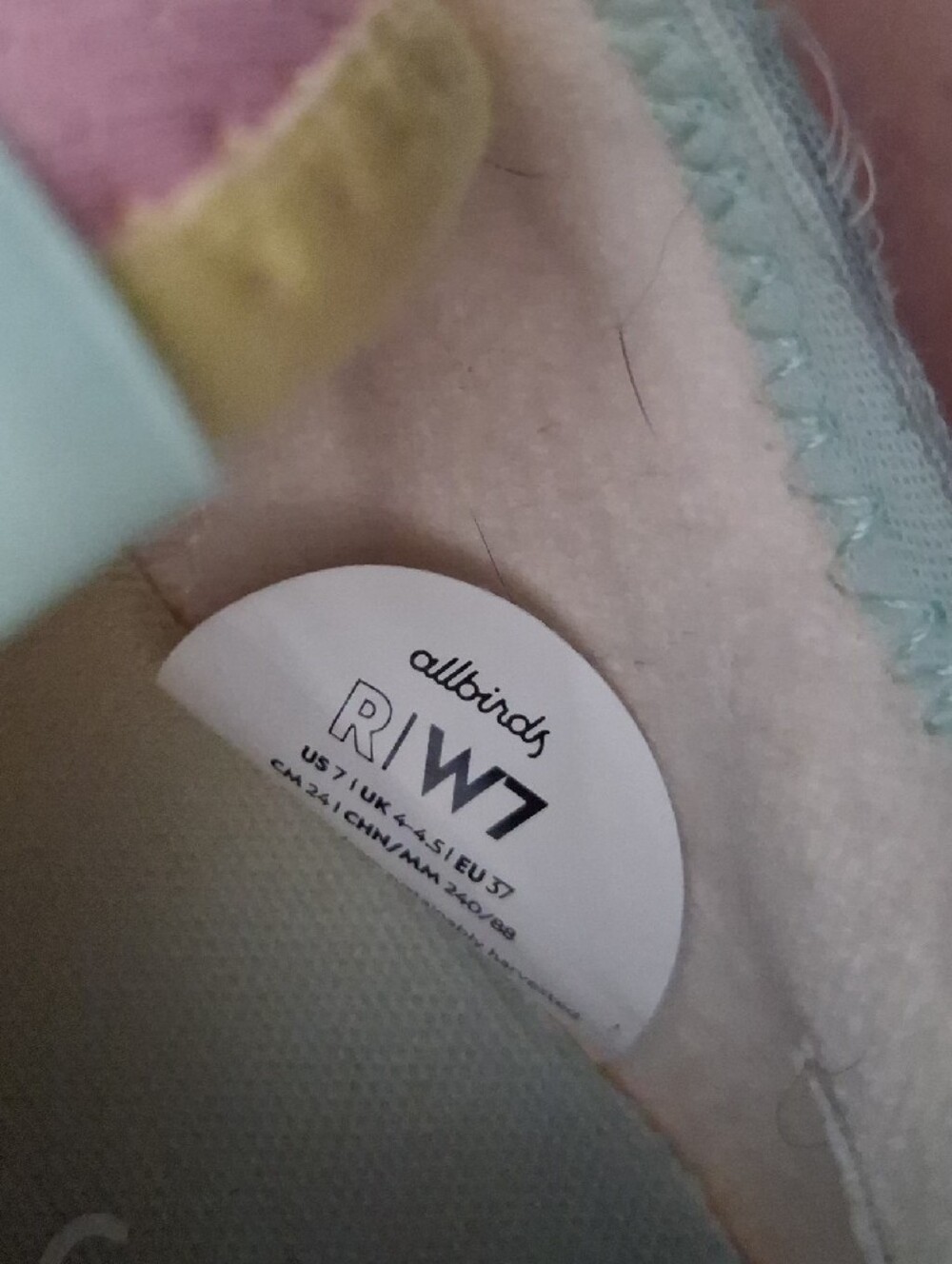 Allbirds Cream Casual Sneakers with Pink & Mint Accents - Picture 3 of 6